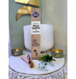 Palo Santo con Champa-Incienso Artesanal