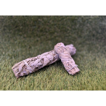 Atadito de Salvia Blanca