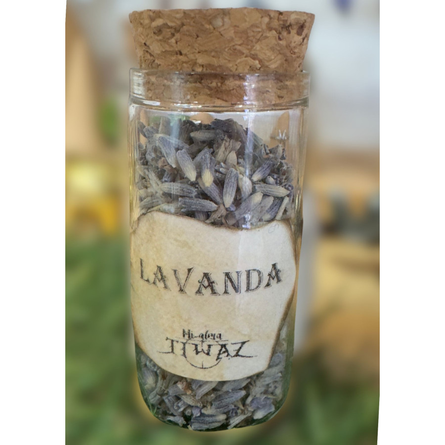 Lavanda | Hierbas Místicas