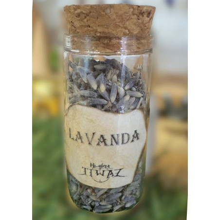 Lavanda | Hierbas Místicas