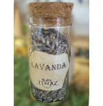 Lavanda | Hierbas Místicas