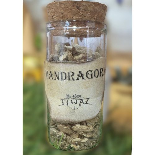 Mandragora | Hierbas Místicas