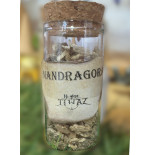 Mandragora | Hierbas Místicas